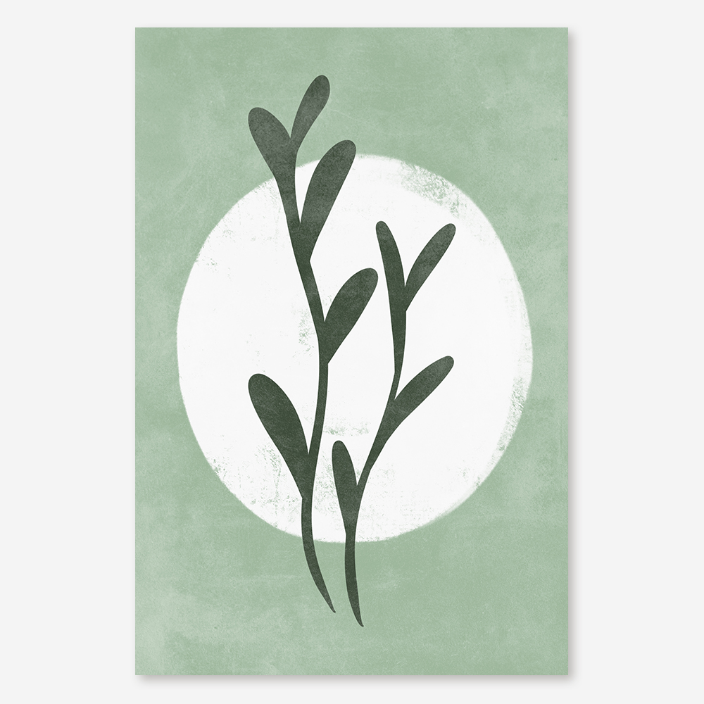 Poster com uma planta verde com um círculo branco  intro