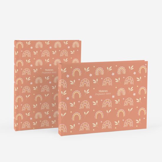 Álbum Pregnancy Story 2