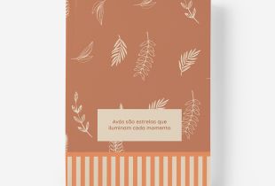 Álbum Avós que Brilham intro